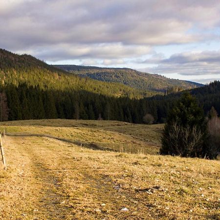 Gemuetliche Ferienwohnung - Mitten Im Schwarzwald Bernau im Schwarzwald Exterior photo